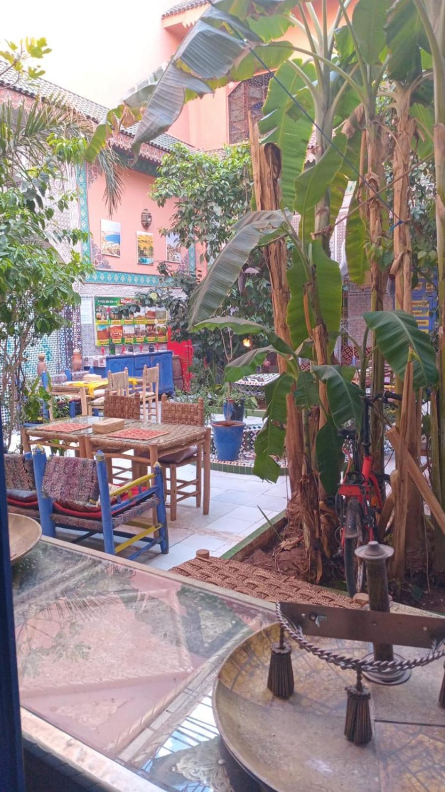 Riad Carole - Perfect For Families & Groups Marrakesh Exterior foto